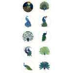 Peacock Stickers